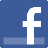 facebook link