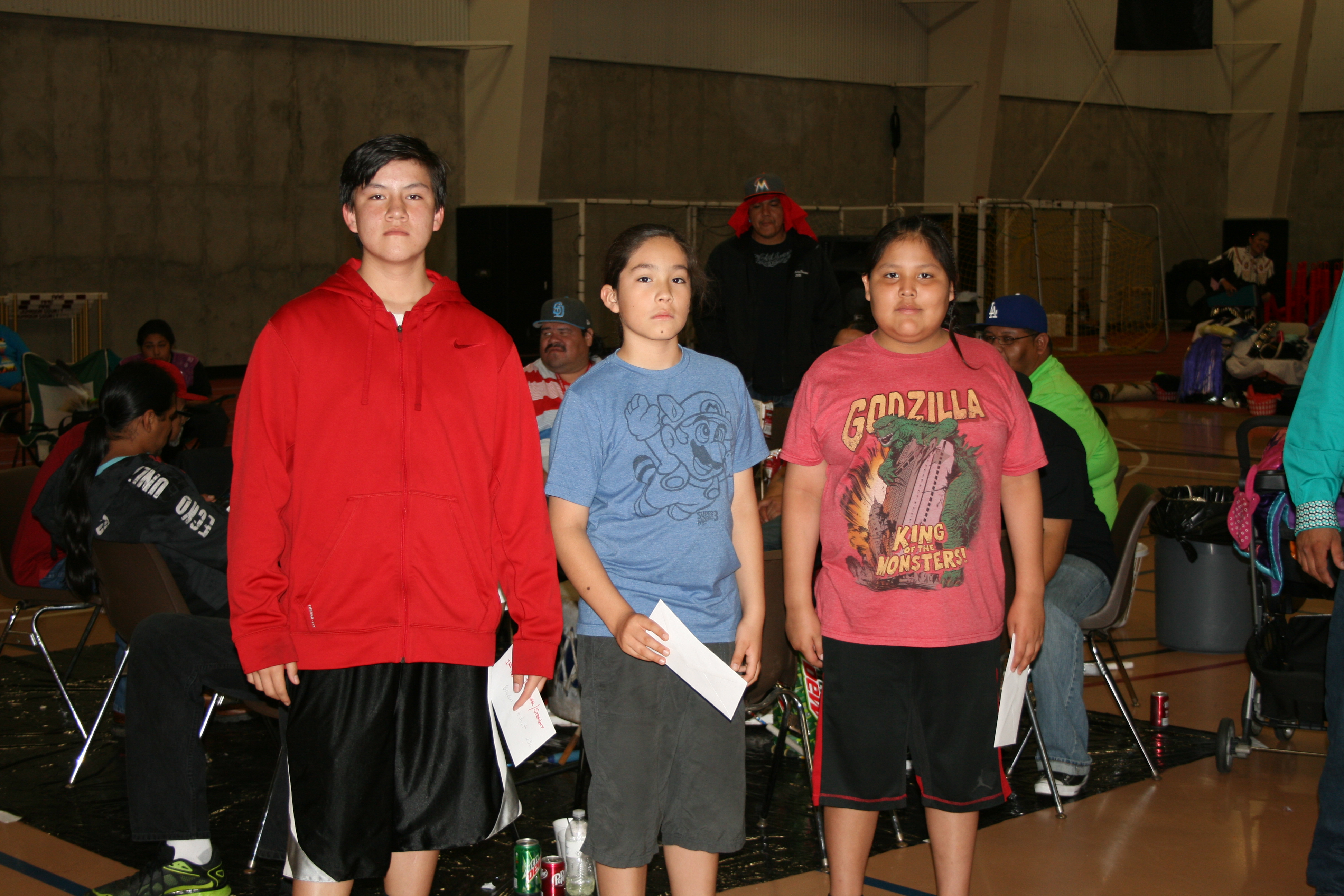 pow wow image